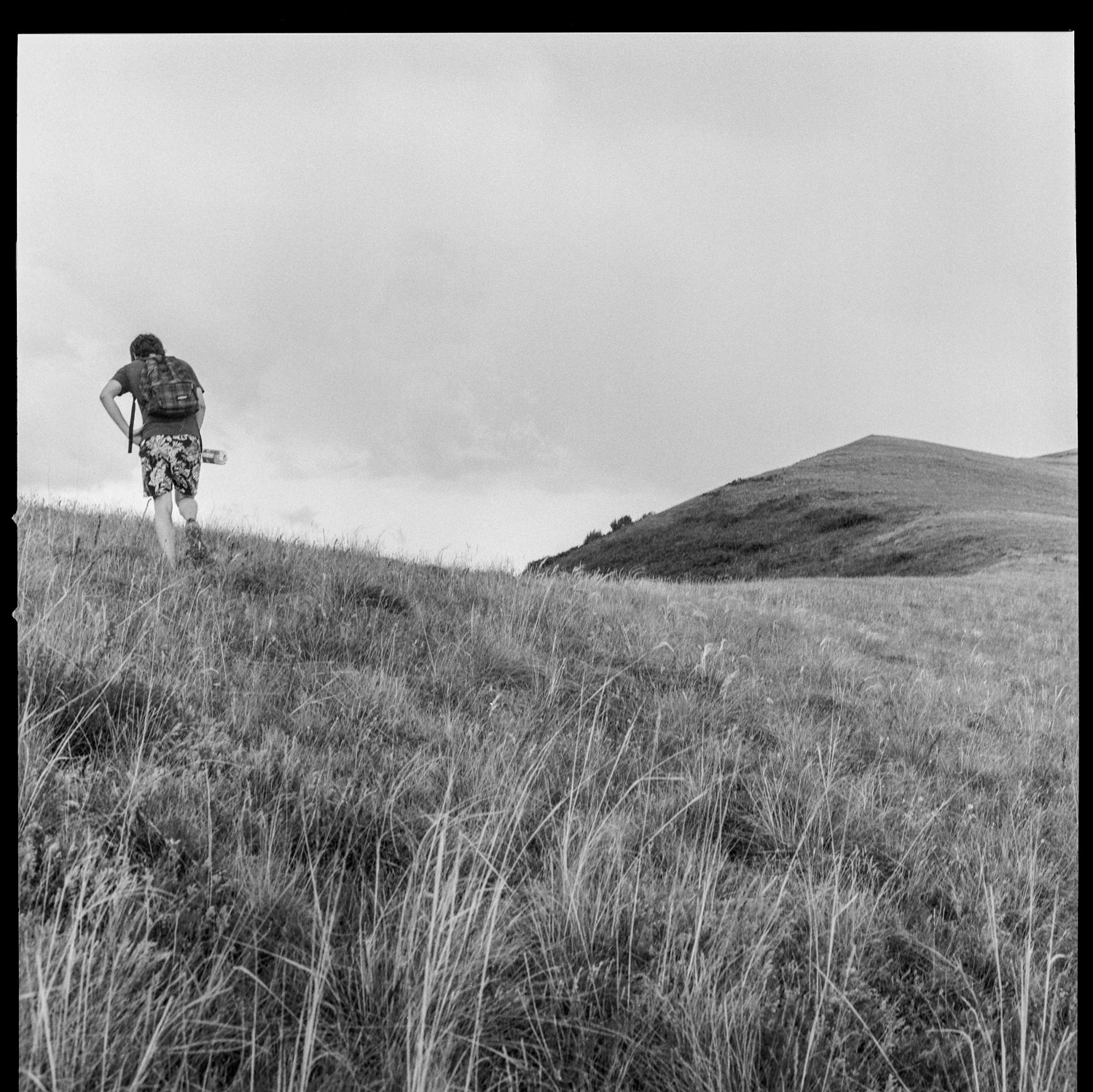 Image description
