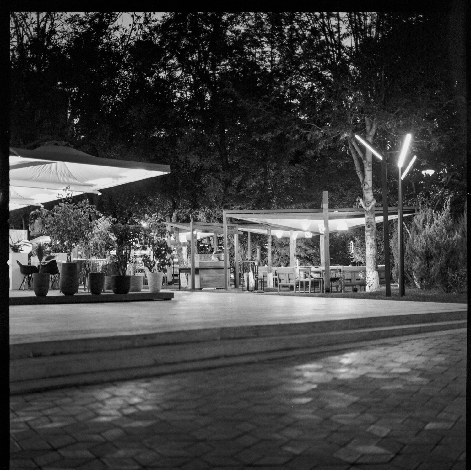 Image description