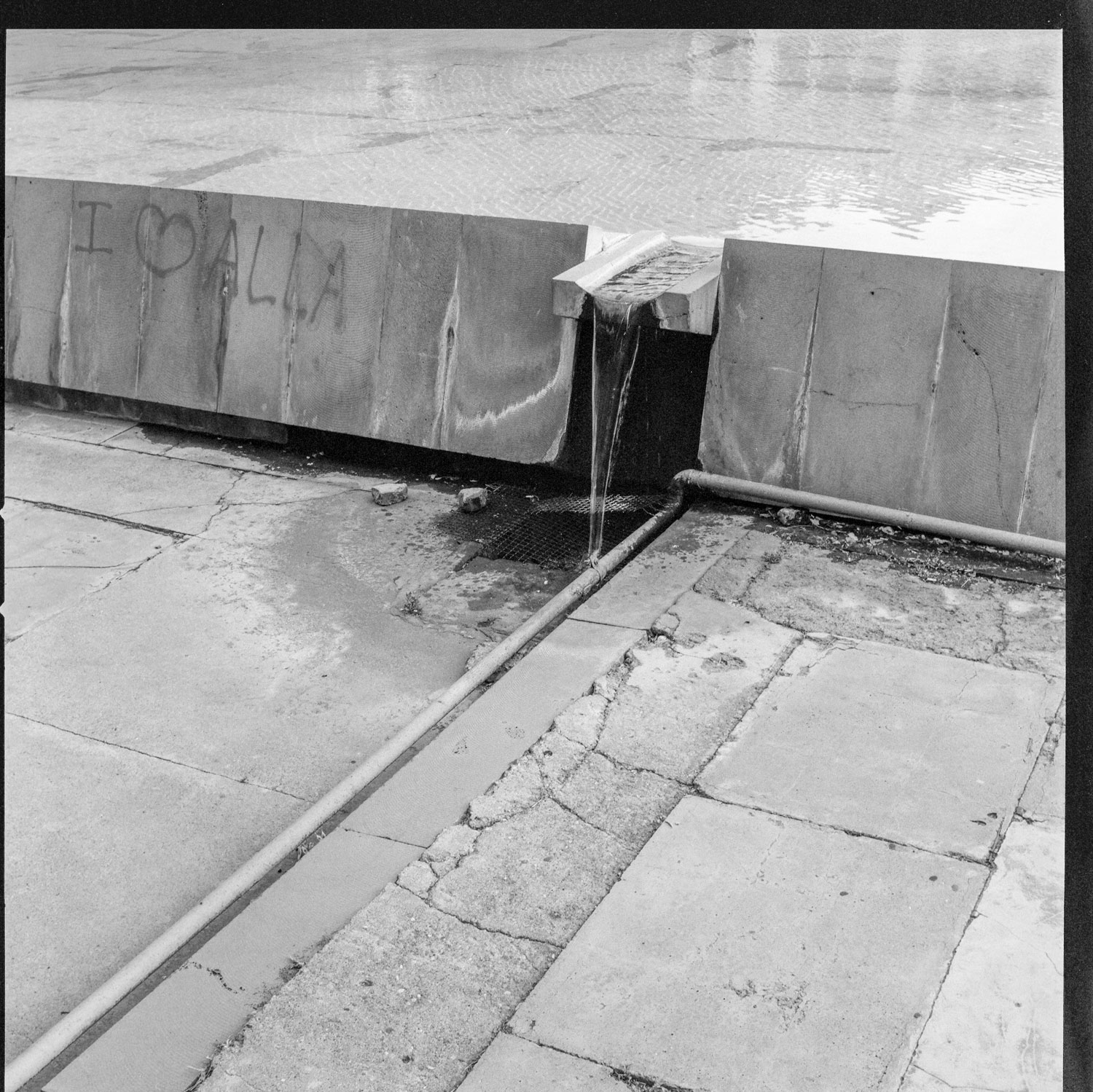 Image description