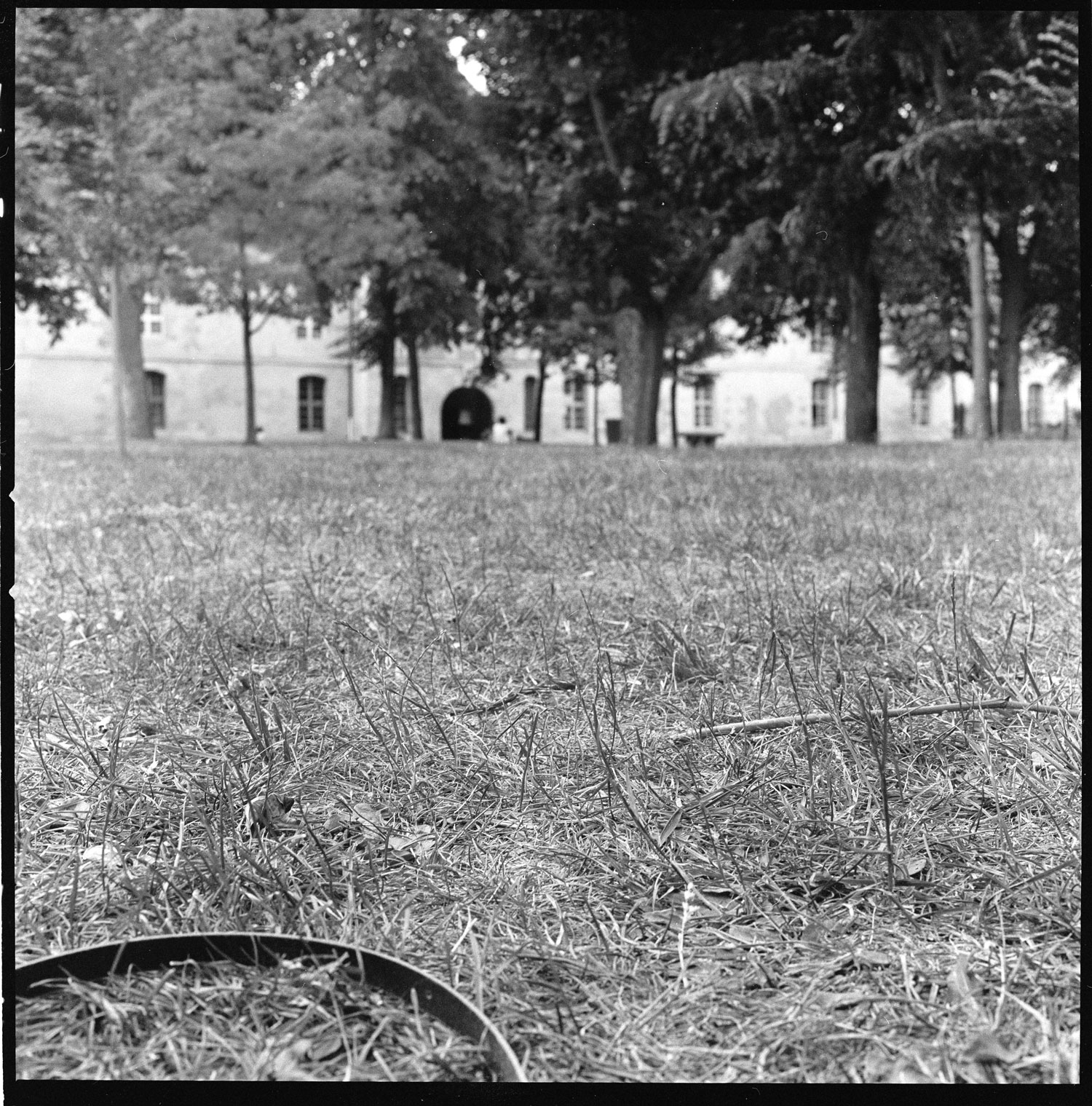 Image description