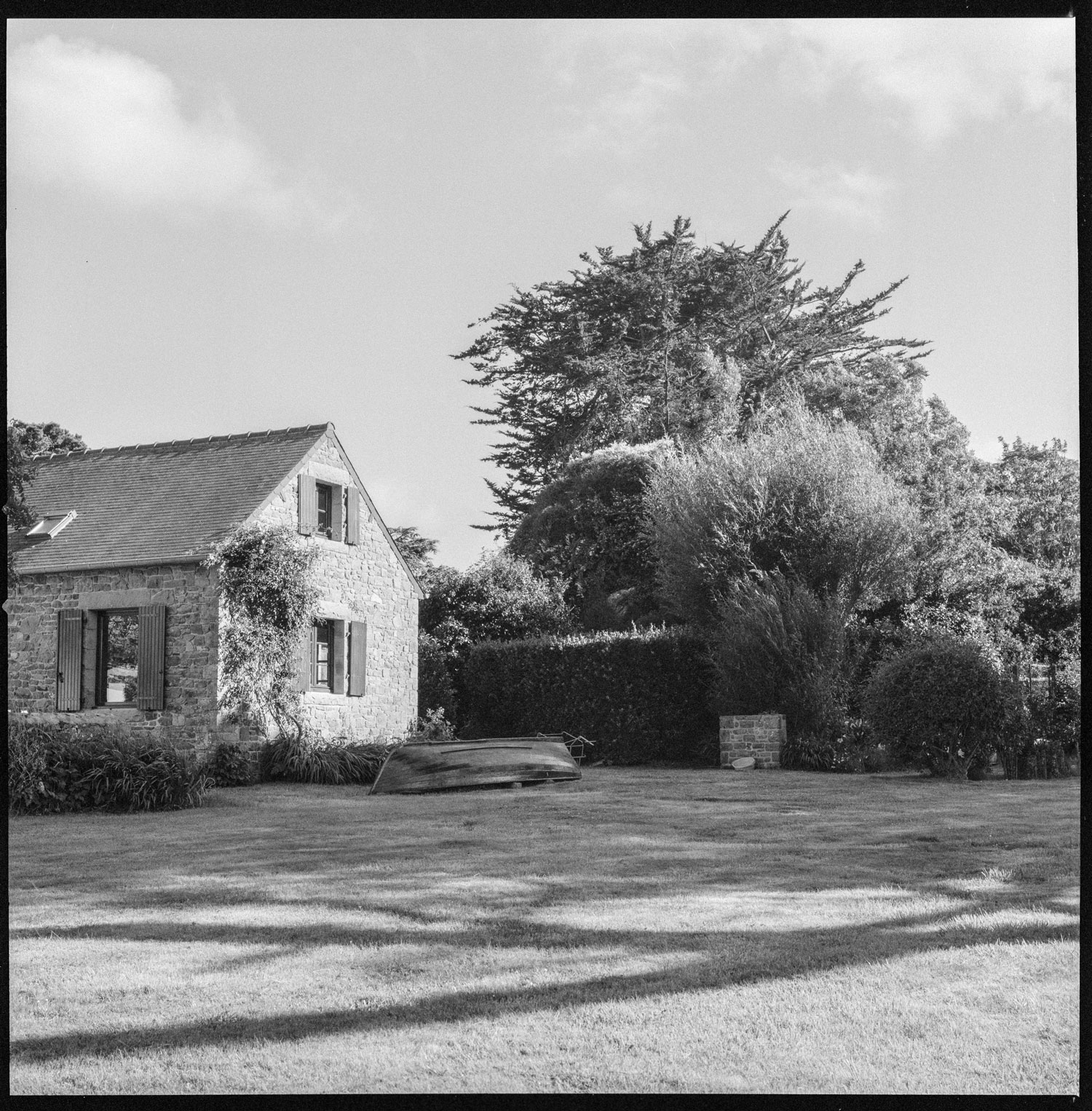 Image description