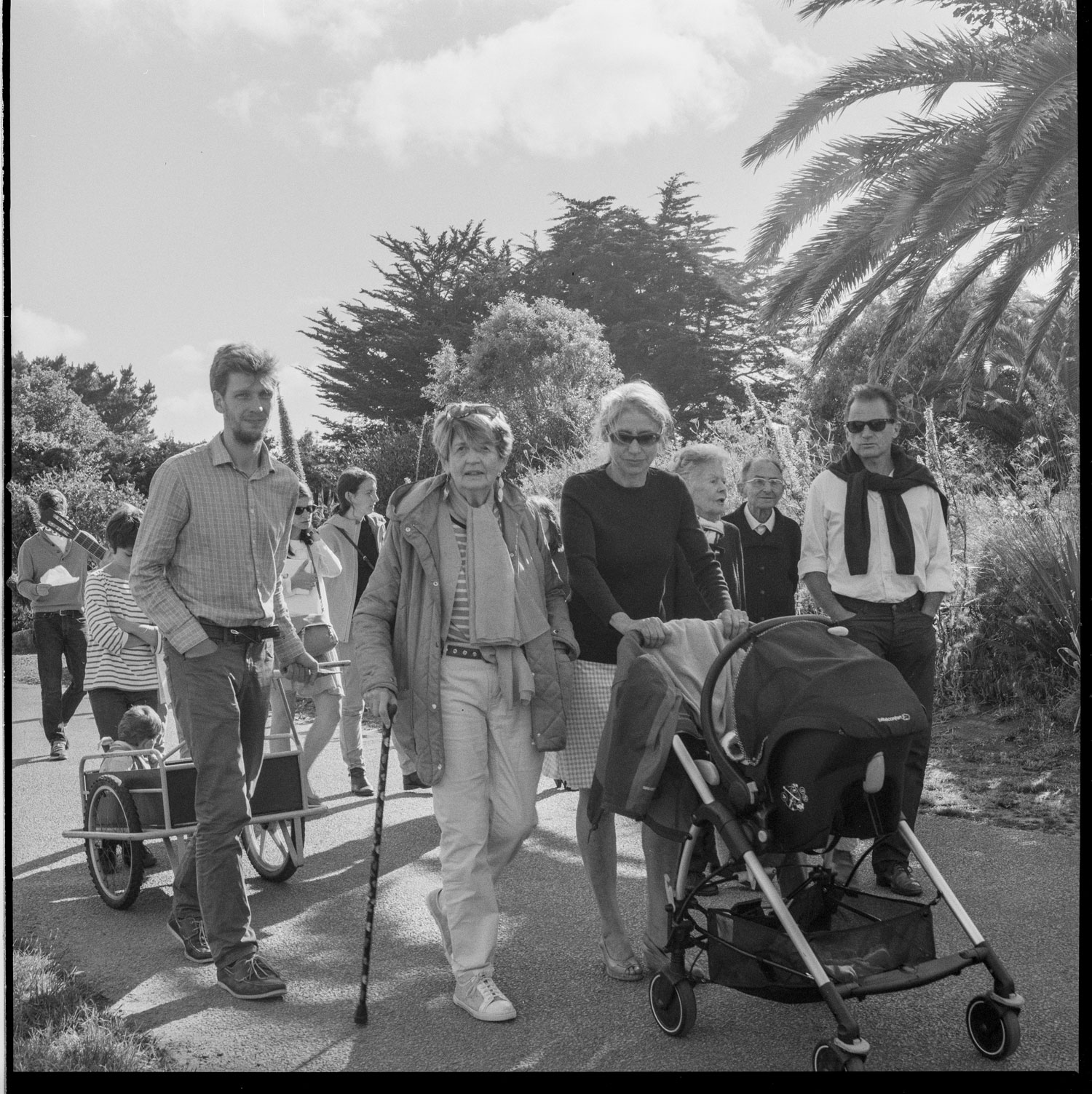 Image description