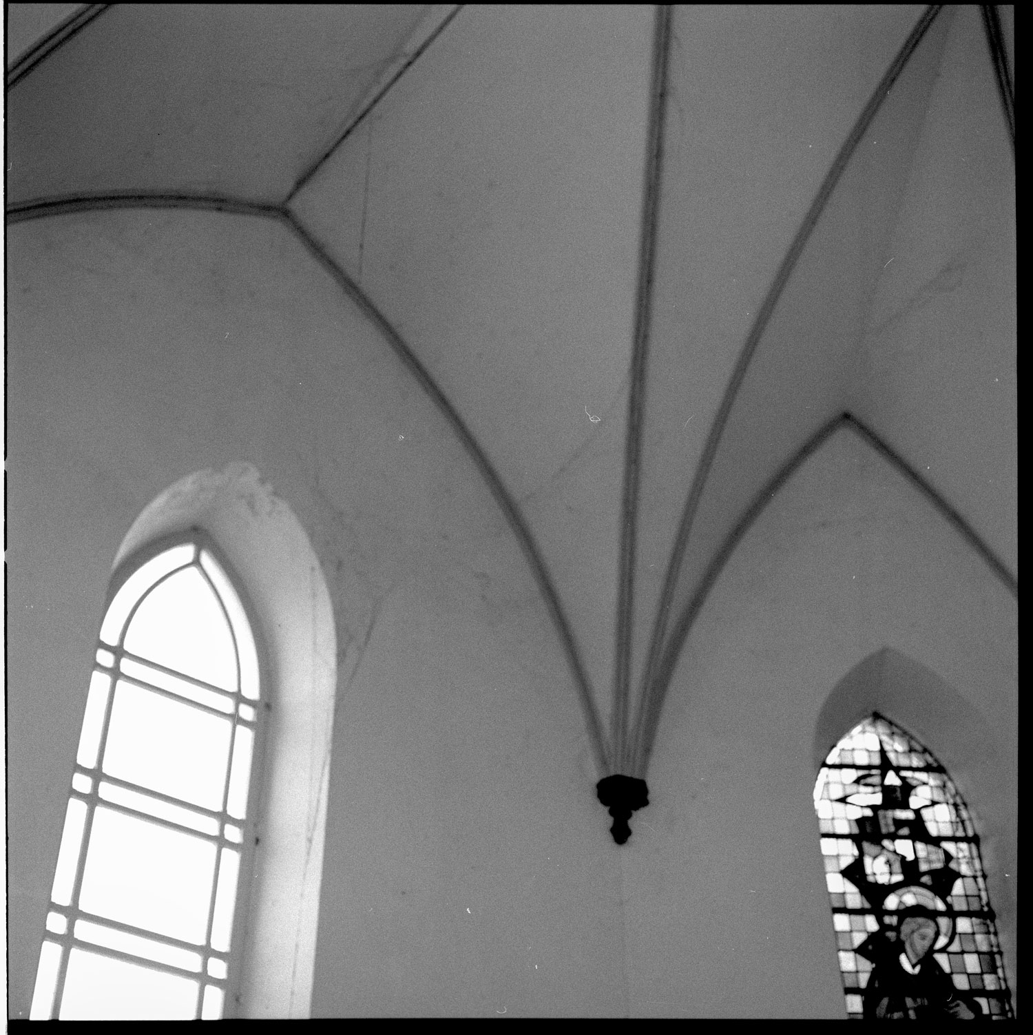 Image description