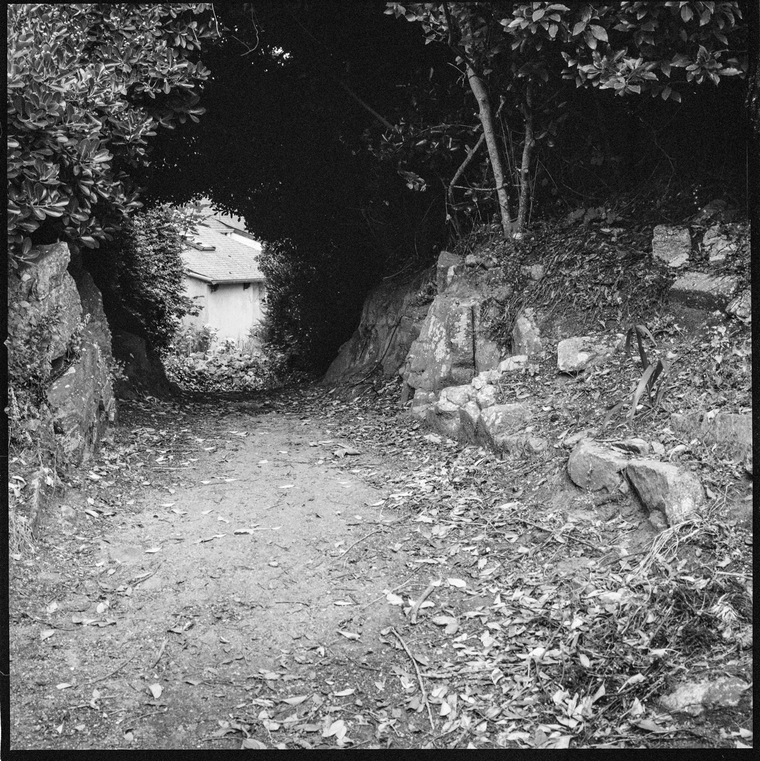 Image description