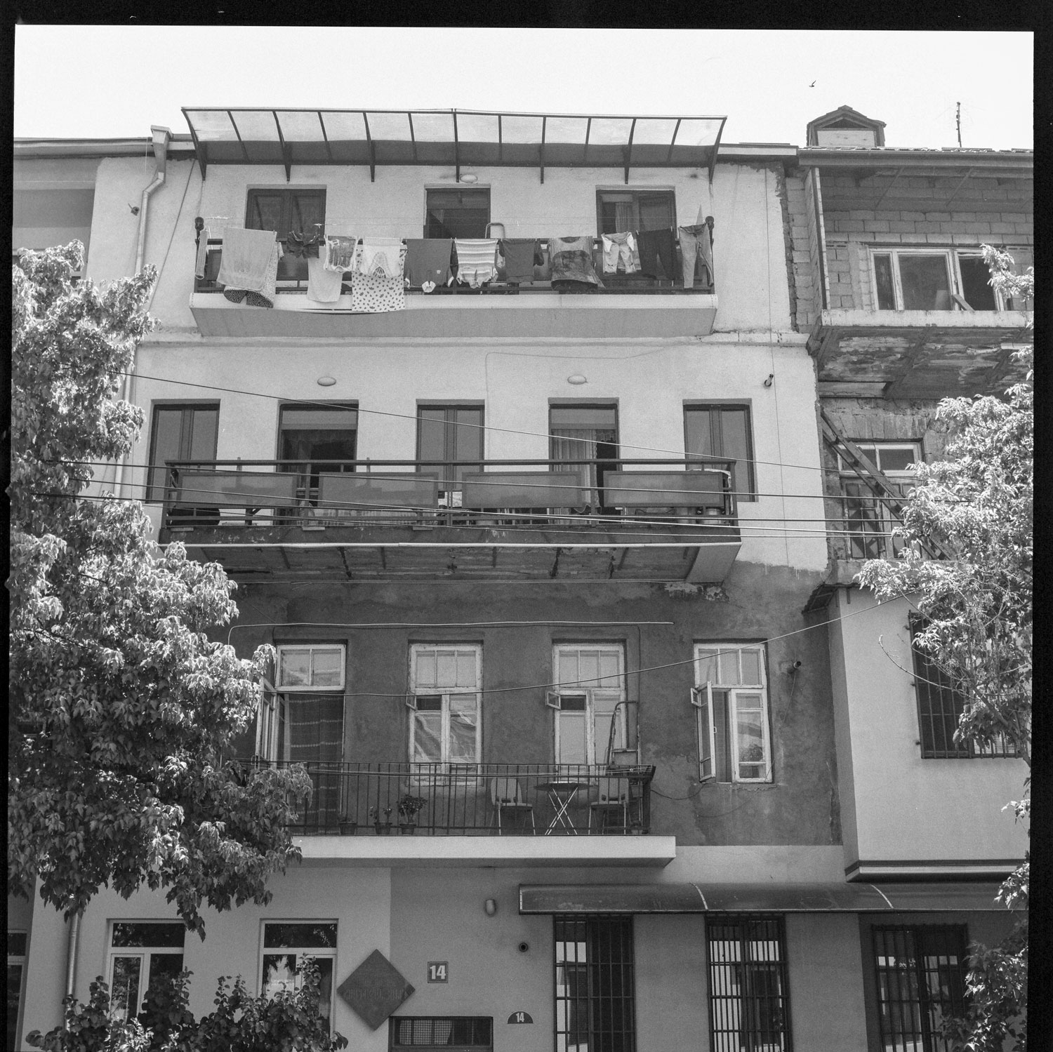 Image description