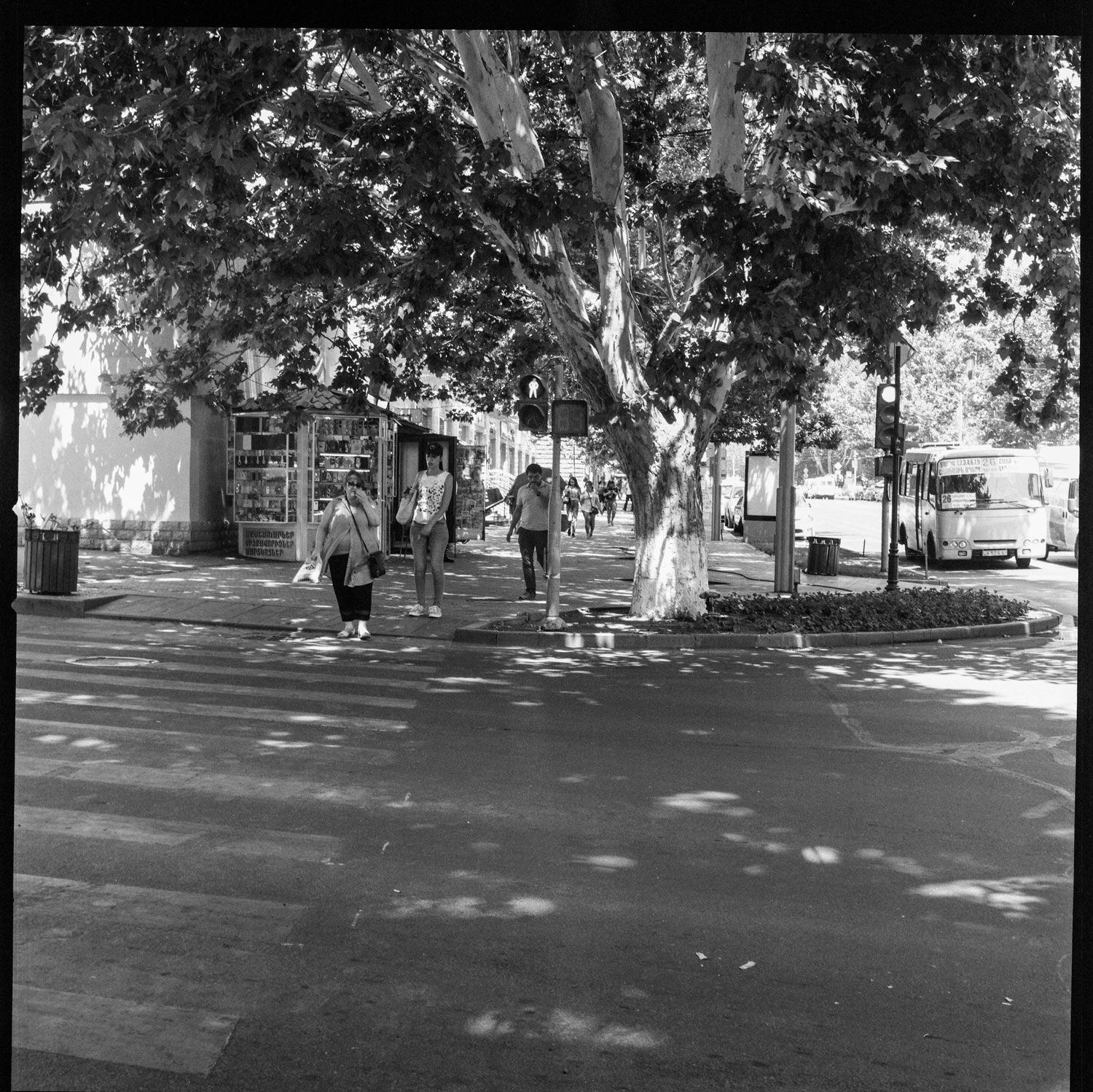 Image description