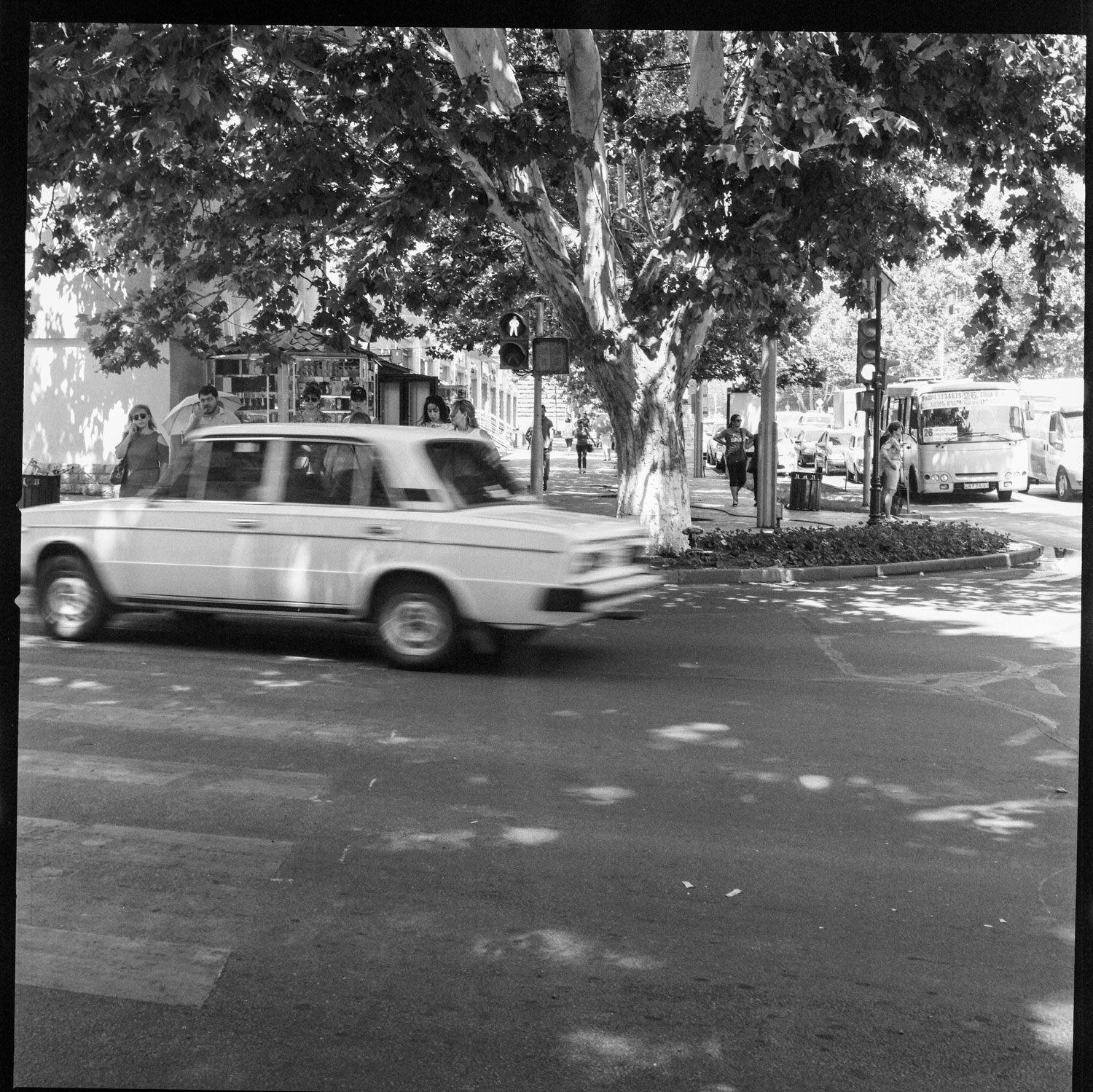 Image description