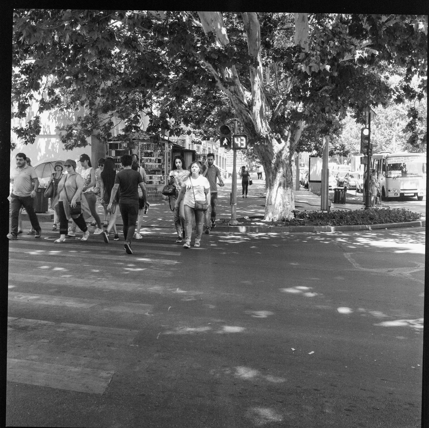 Image description