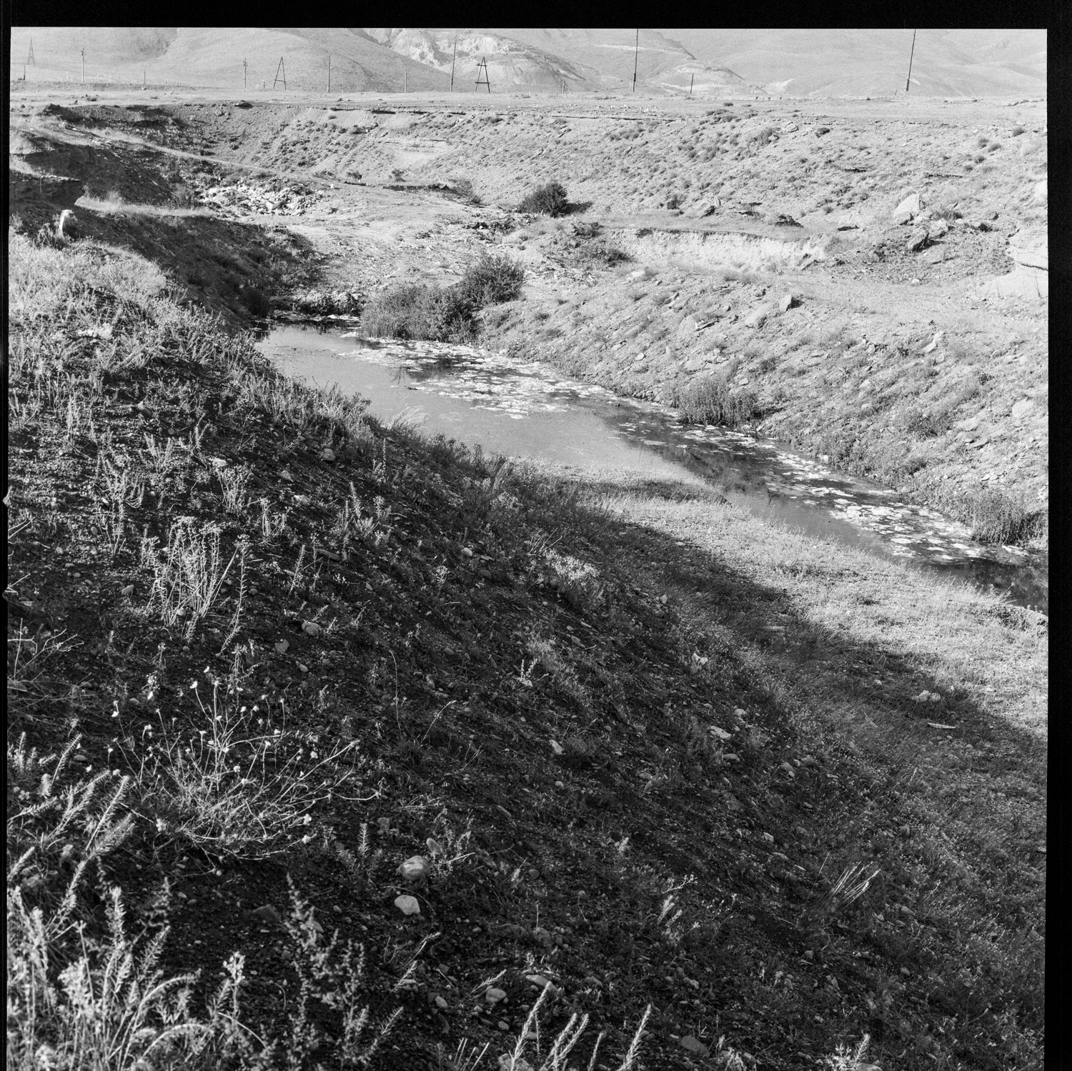 Image description