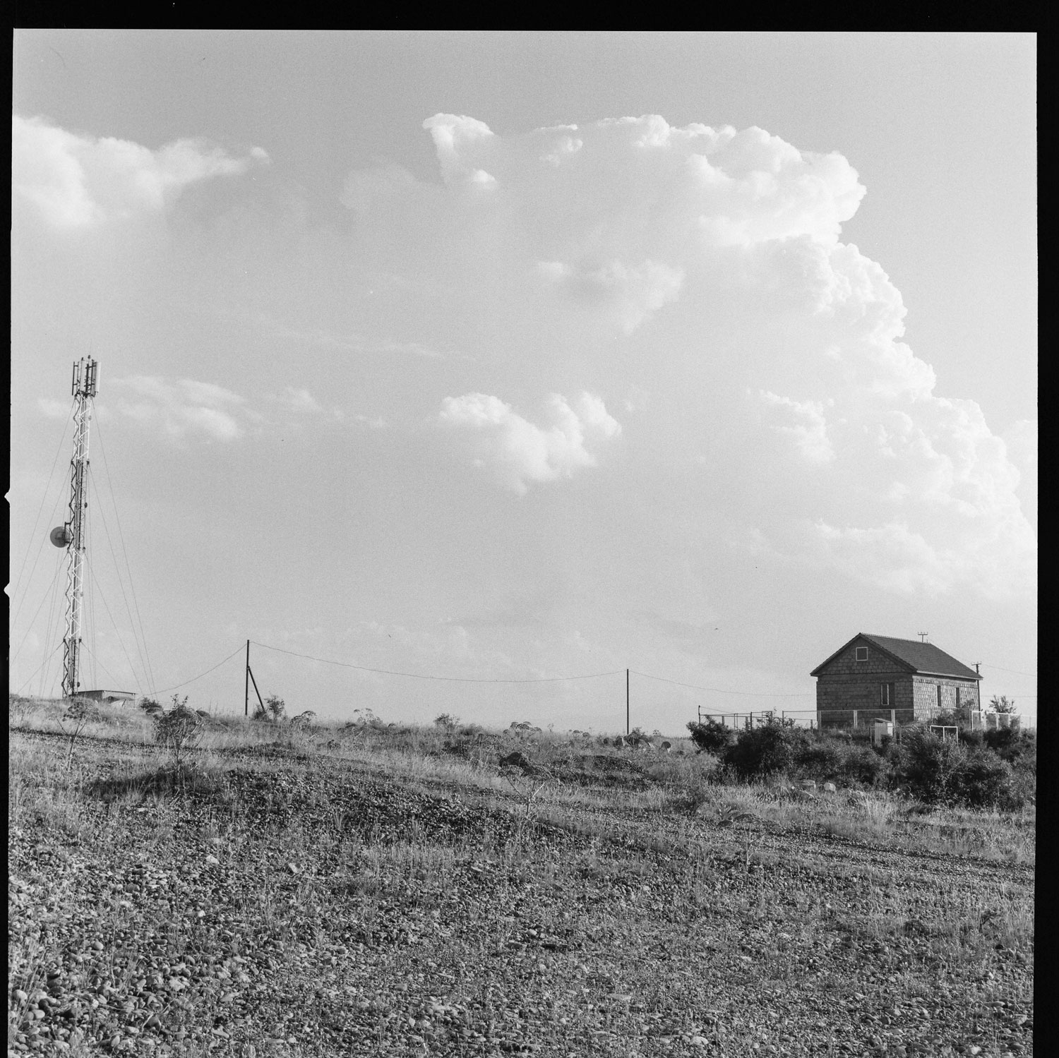 Image description