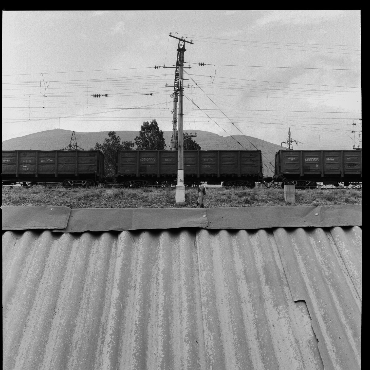 Image description
