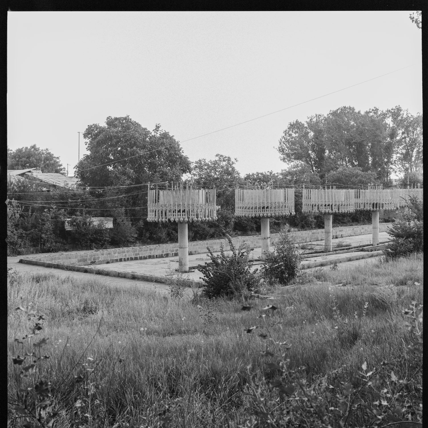 Image description
