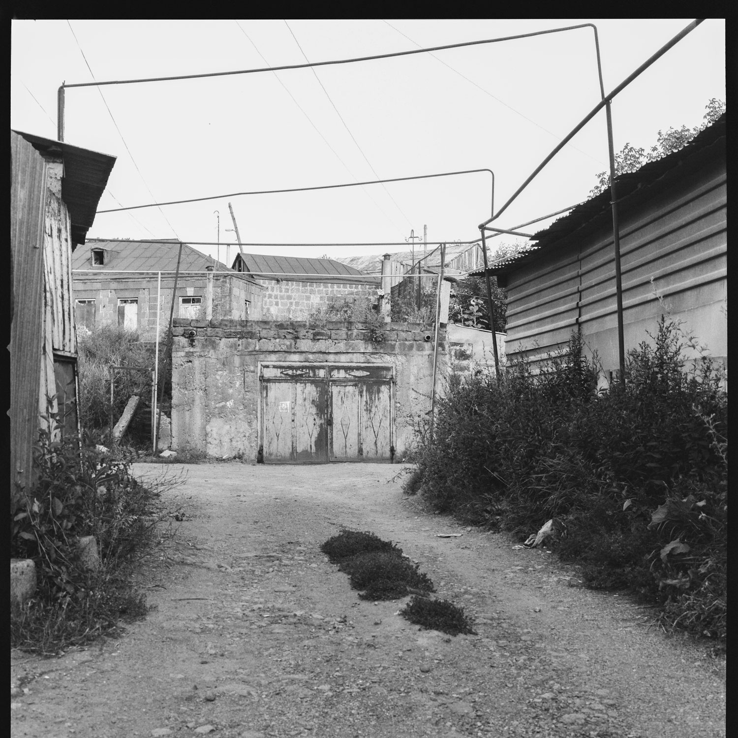 Image description