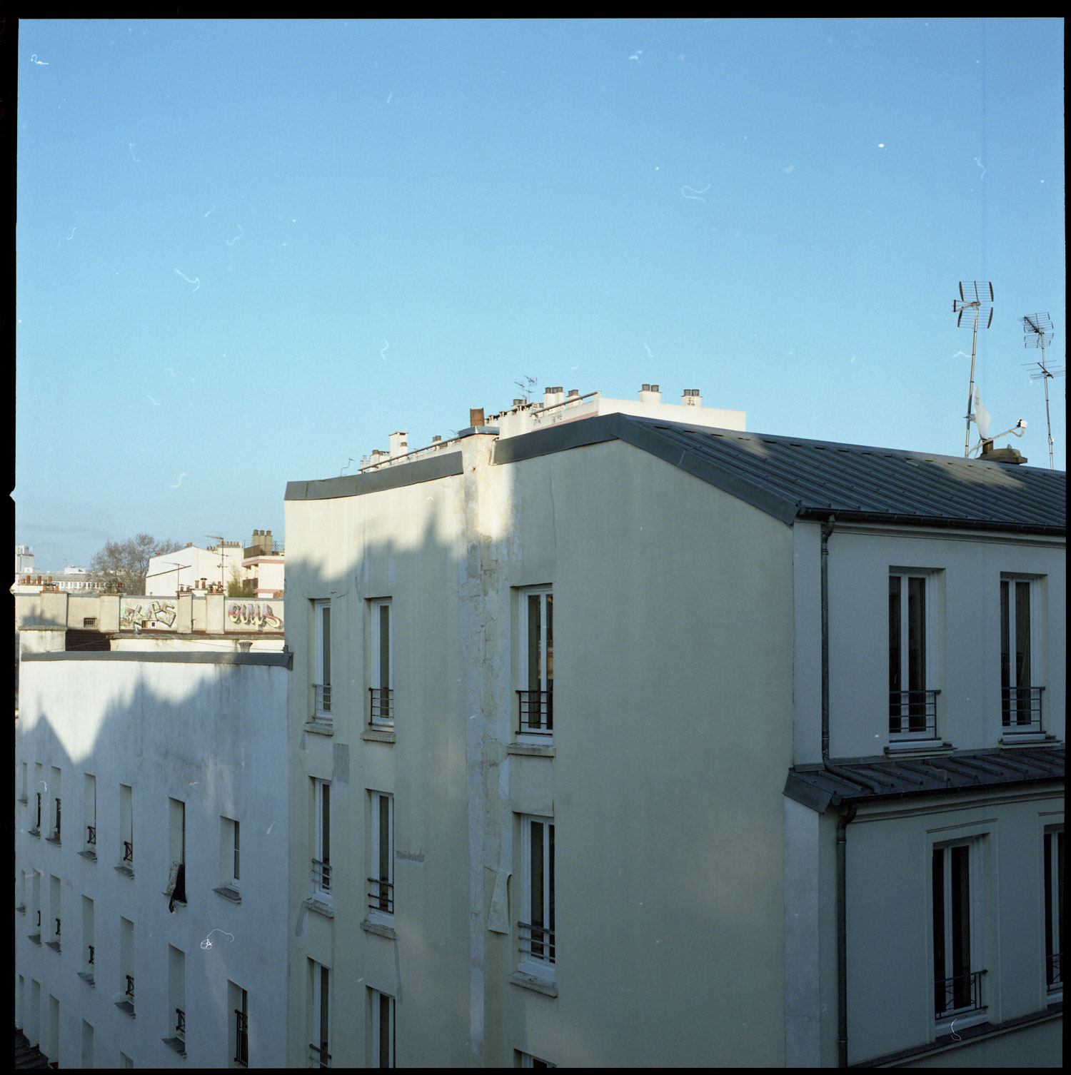 Image description