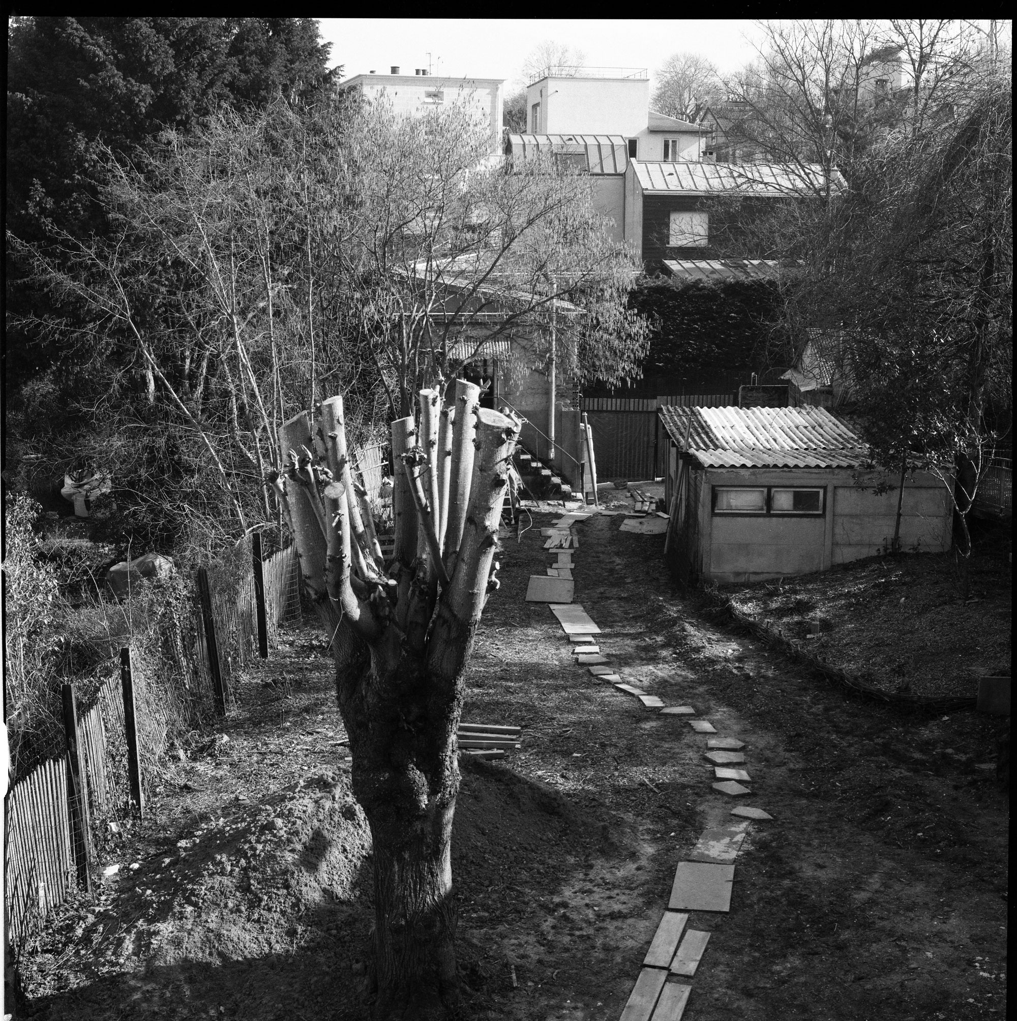 Image description