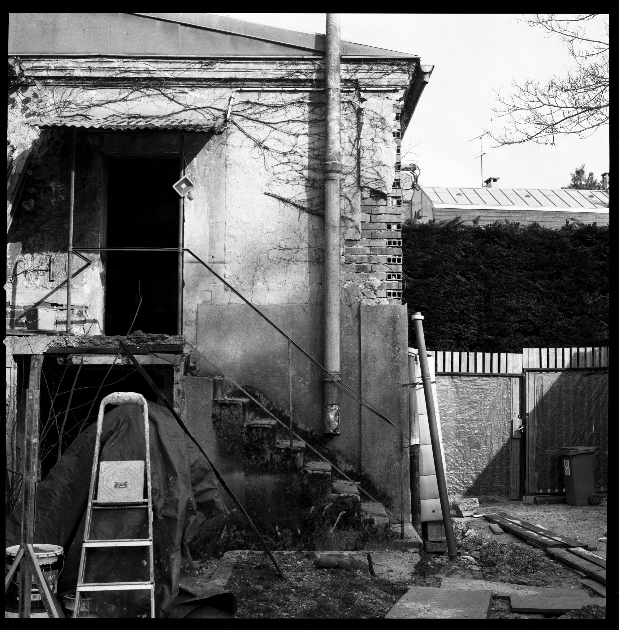 Image description