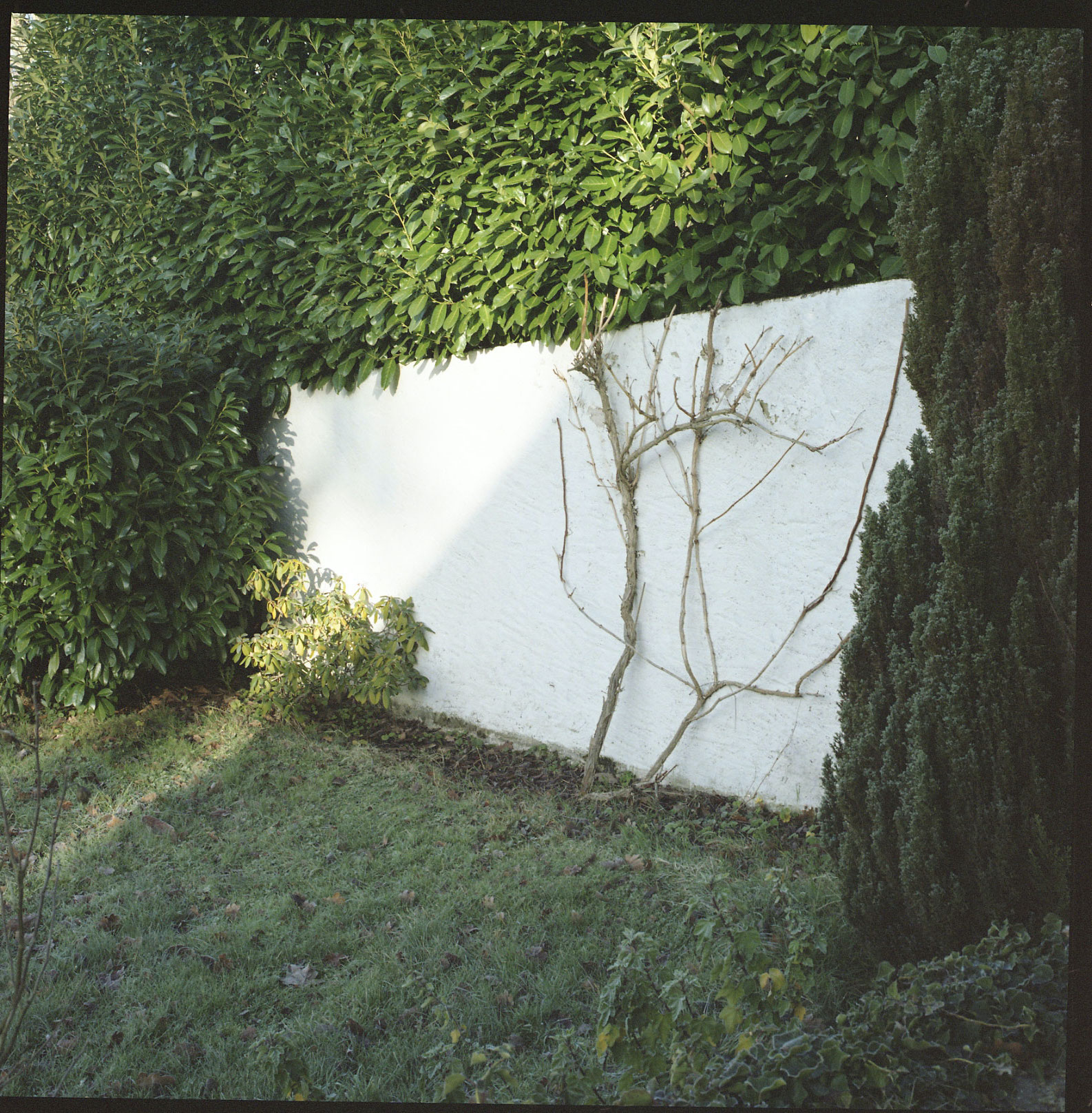 Image description
