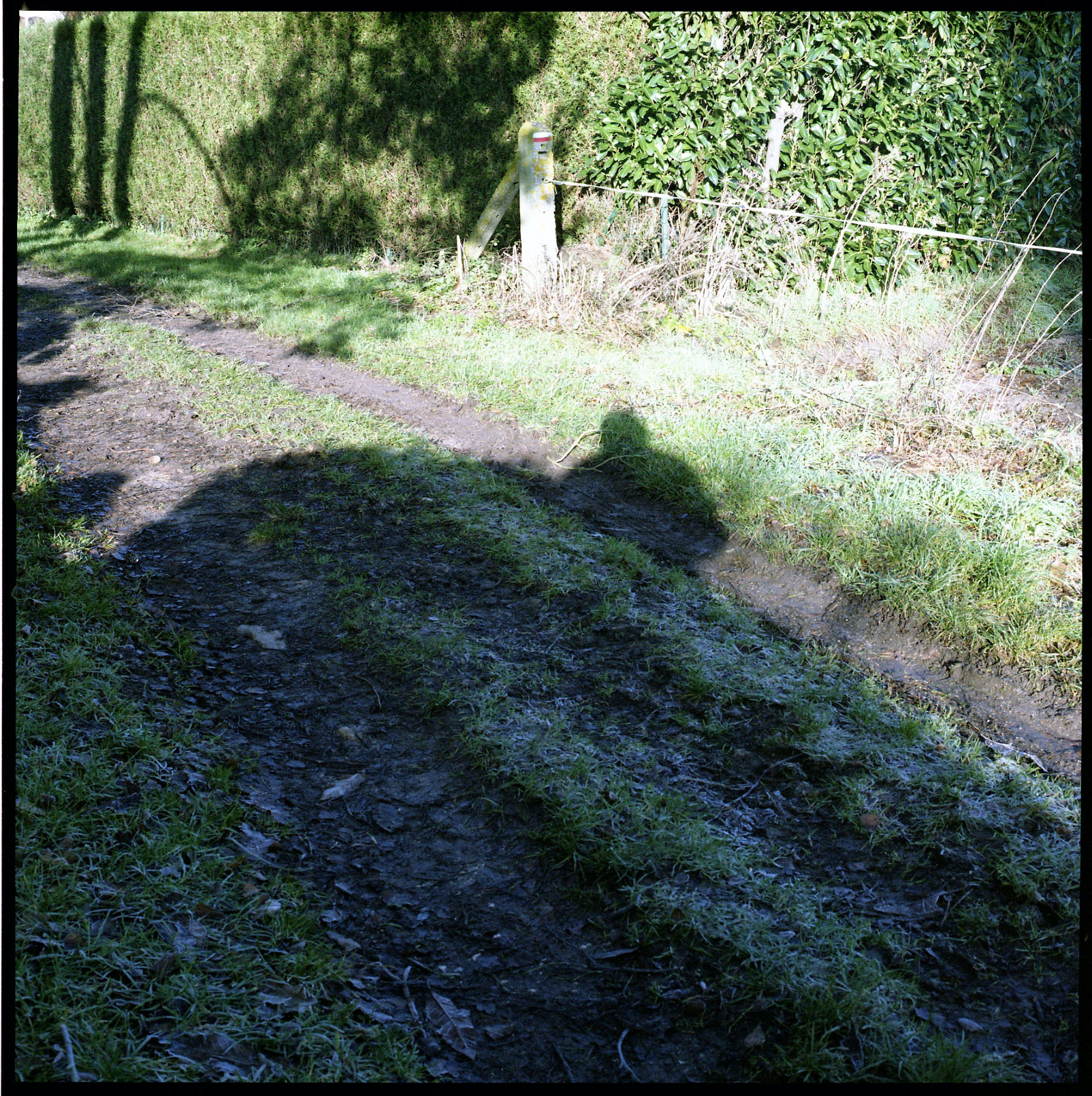Image description