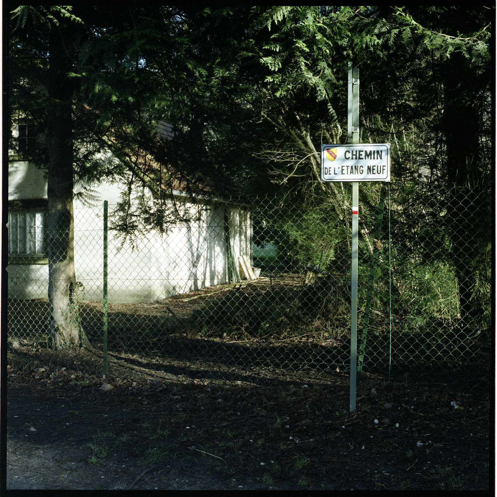 Image description