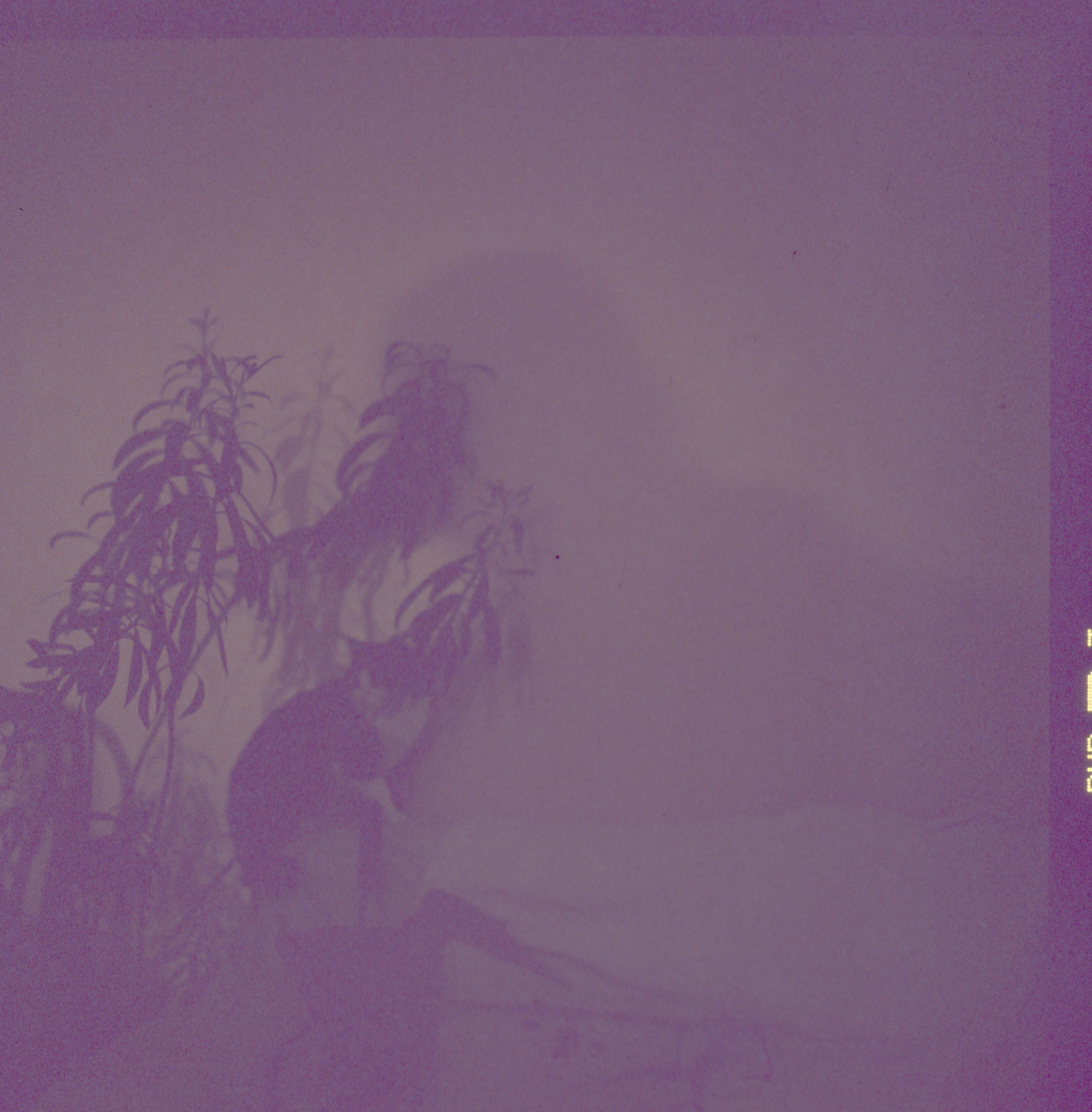 Image description
