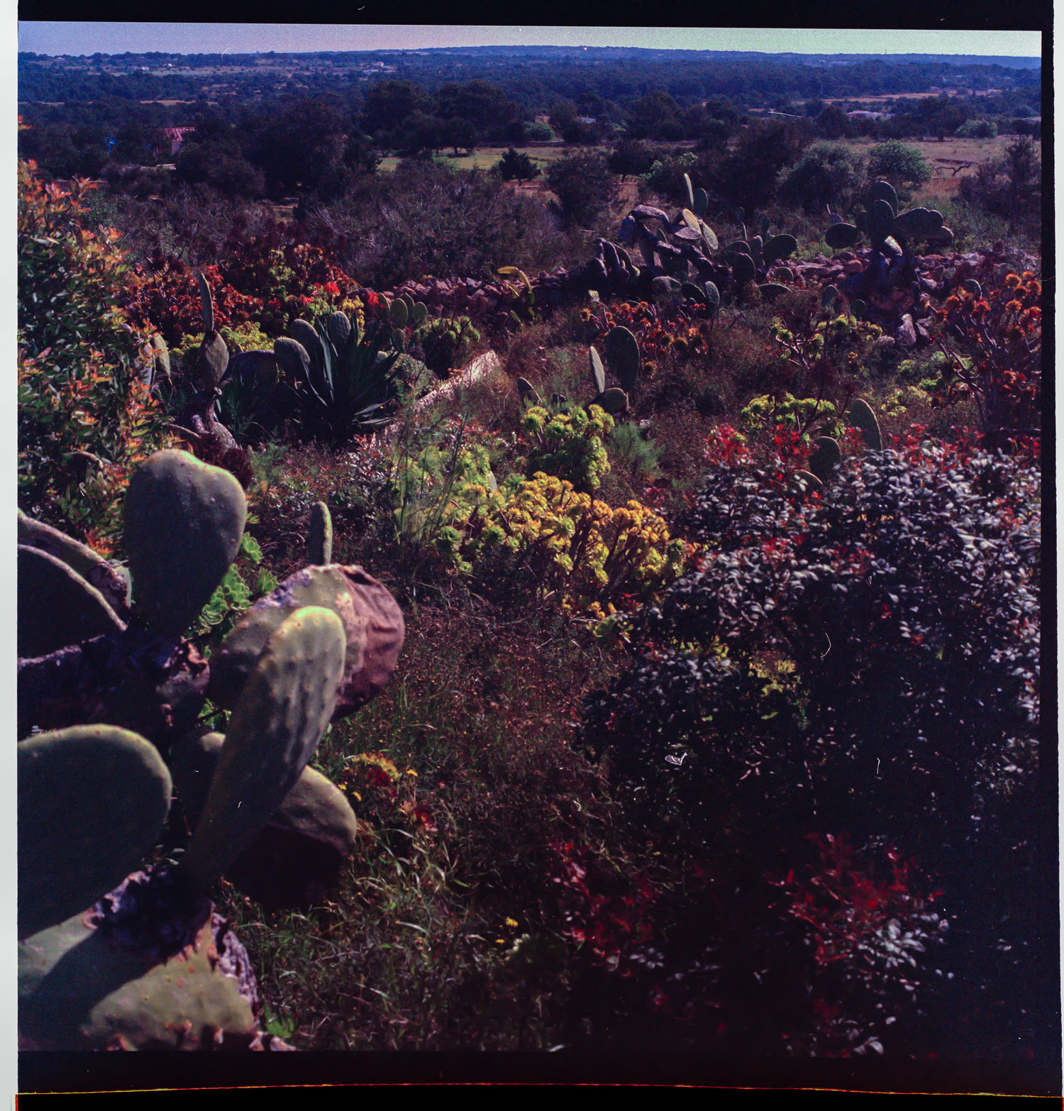 Image description