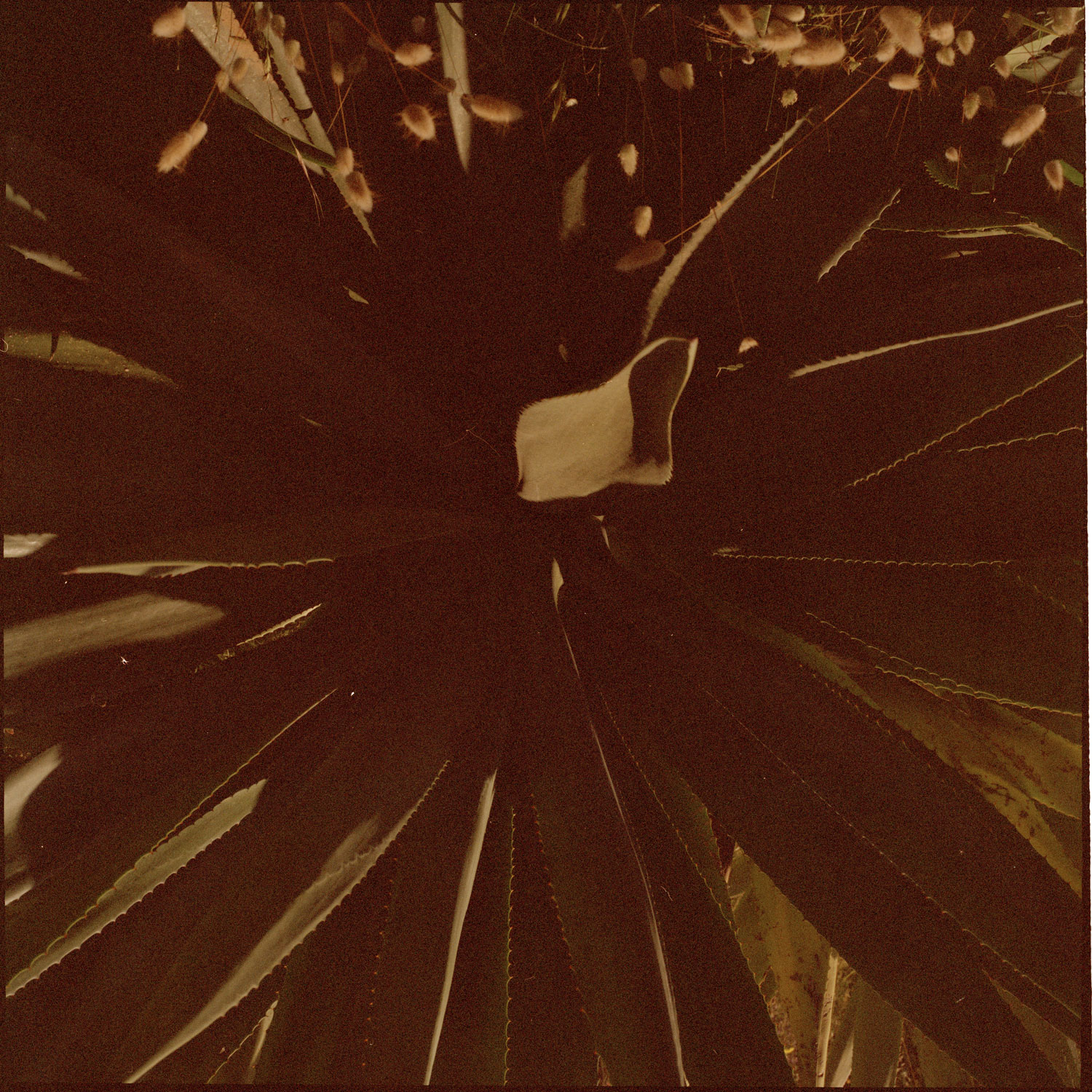 Image description