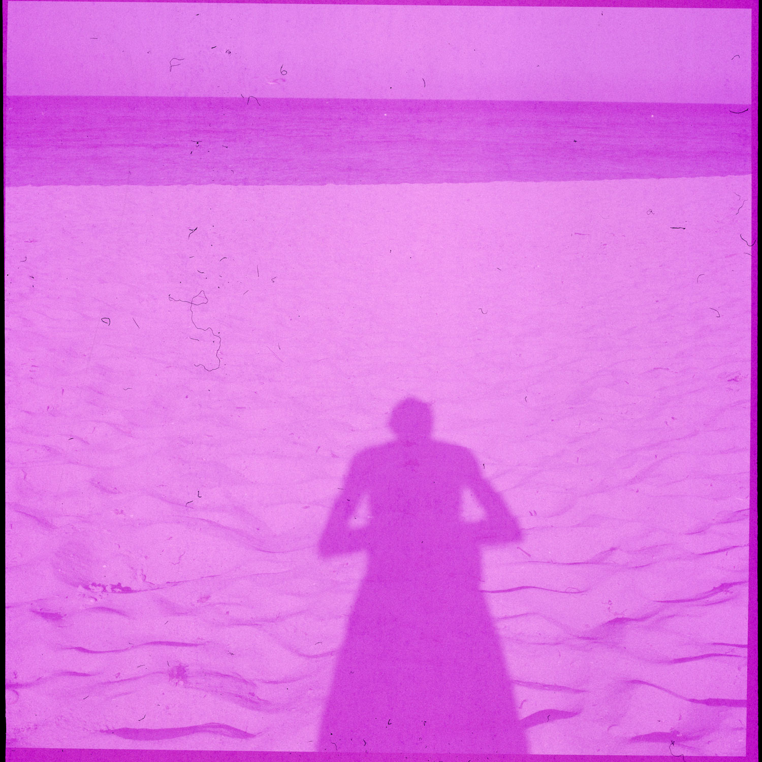 Image description