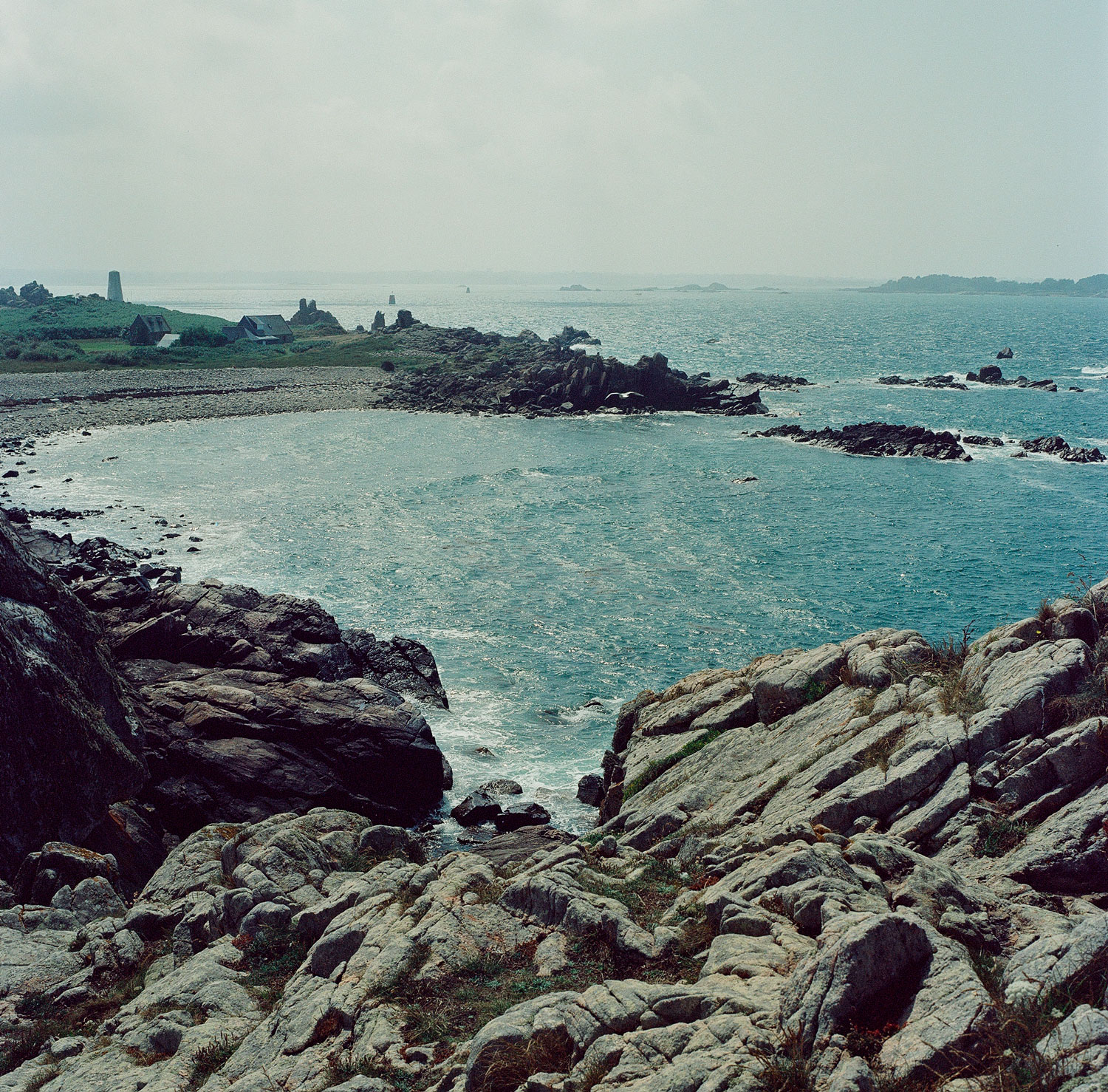 Image description
