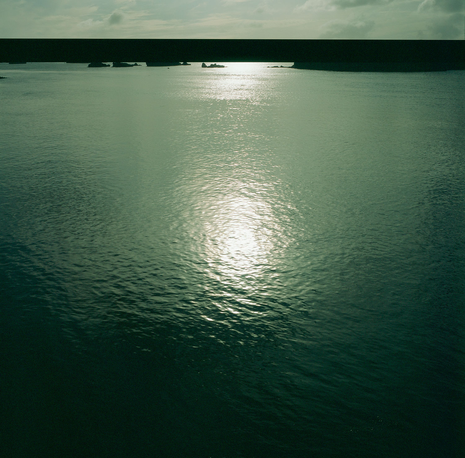 Image description